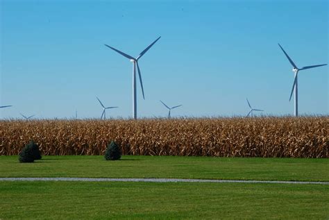 Two different wind farms – Timber Road II and Blue Creek – planted a combined 207 turbines reaching nearly 50 stories tall in the corn and soybean fields around her home. Timber Road went online in 2011; Blue Creek in 2012.